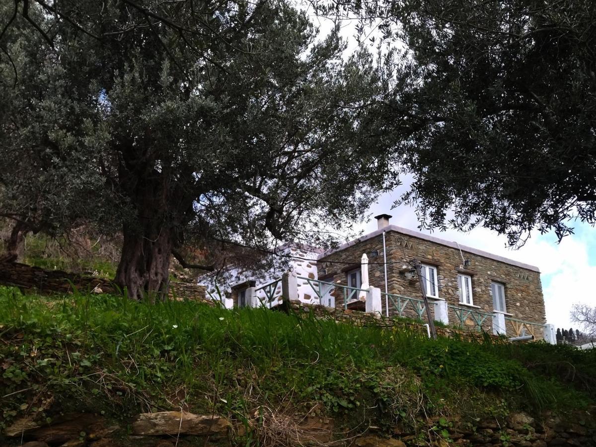 شقة Summer Sunrise Andros المظهر الخارجي الصورة