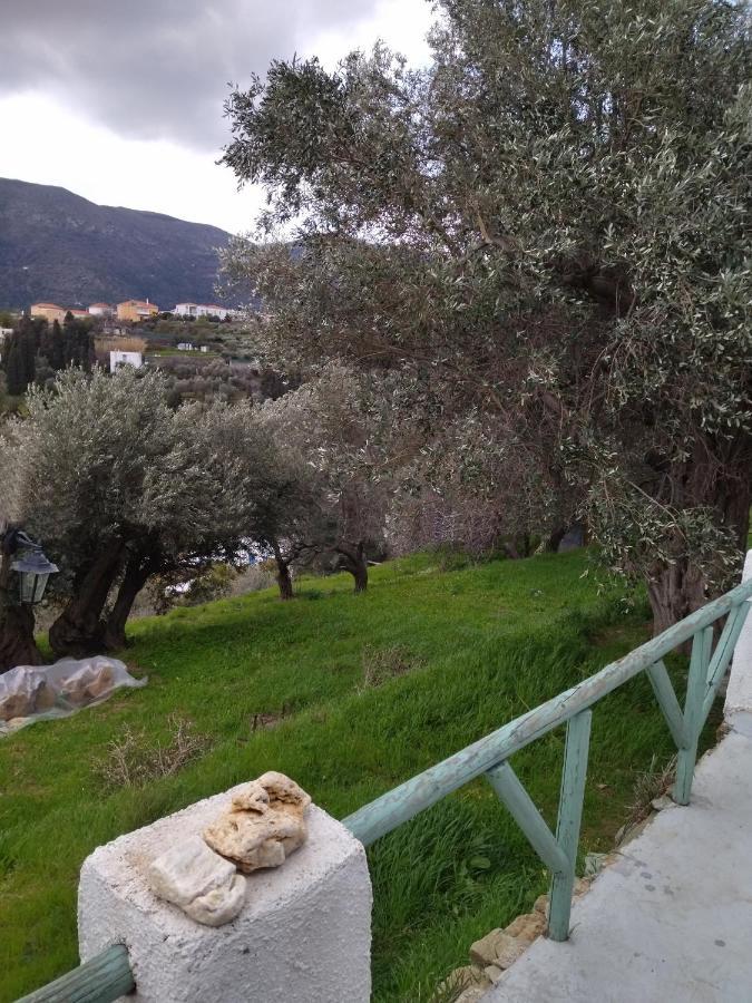 شقة Summer Sunrise Andros المظهر الخارجي الصورة